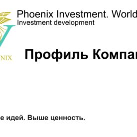 Инвестиционный профиль Холдинга Phoenix