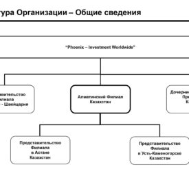 Инвестиционный профиль Холдинга Phoenix