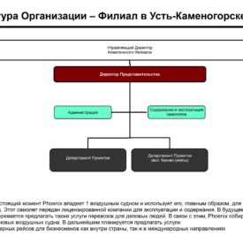 Инвестиционный профиль Холдинга Phoenix