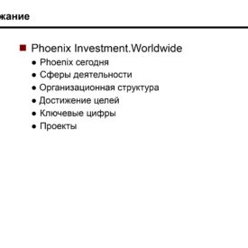 Инвестиционный профиль Холдинга Phoenix