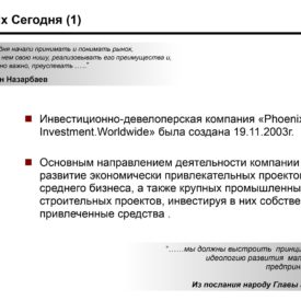 Инвестиционный профиль Холдинга Phoenix