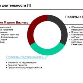 Инвестиционный профиль Холдинга Phoenix