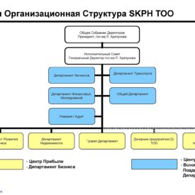 Модернизация бизнеса SKPH LLP Сферы бизнеса, структуры, процедуры, инструменты