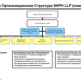 Модернизация бизнеса SKPH LLP Сферы бизнеса, структуры, процедуры, инструменты