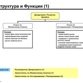 Модернизация бизнеса SKPH LLP Сферы бизнеса, структуры, процедуры, инструменты