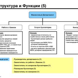 Модернизация бизнеса SKPH LLP Сферы бизнеса, структуры, процедуры, инструменты