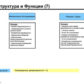 Модернизация бизнеса SKPH LLP Сферы бизнеса, структуры, процедуры, инструменты