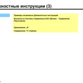 Модернизация бизнеса SKPH LLP Сферы бизнеса, структуры, процедуры, инструменты