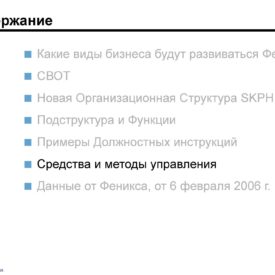 Модернизация бизнеса SKPH LLP Сферы бизнеса, структуры, процедуры, инструменты