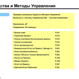 Модернизация бизнеса SKPH LLP Сферы бизнеса, структуры, процедуры, инструменты