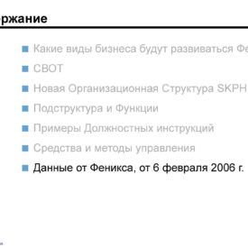 Модернизация бизнеса SKPH LLP Сферы бизнеса, структуры, процедуры, инструменты