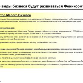 Модернизация бизнеса SKPH LLP Сферы бизнеса, структуры, процедуры, инструменты