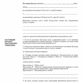 Типовой договор между заказчиком и консультантом на оказание услуг