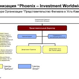 Окончательный вариант модернизации бизнеса Холдинга Phoenix