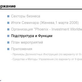 Окончательный вариант модернизации бизнеса Холдинга Phoenix