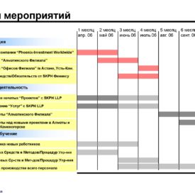 Окончательный вариант модернизации бизнеса Холдинга Phoenix