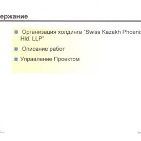 Организация Холдинга “Swiss Kazakh Phoenix Hld LLP”