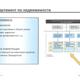 Организация Холдинга “Swiss Kazakh Phoenix Hld LLP”