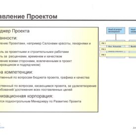 Организация Холдинга “Swiss Kazakh Phoenix Hld LLP”