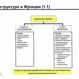 Организация Холдинга “Swiss Kazakh Phoenix Hld LLP”