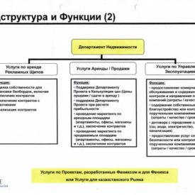 Организация Холдинга “Swiss Kazakh Phoenix Hld LLP”