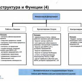 Организация Холдинга “Swiss Kazakh Phoenix Hld LLP”