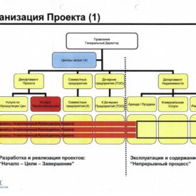 Организация проекта