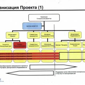 Организация проекта